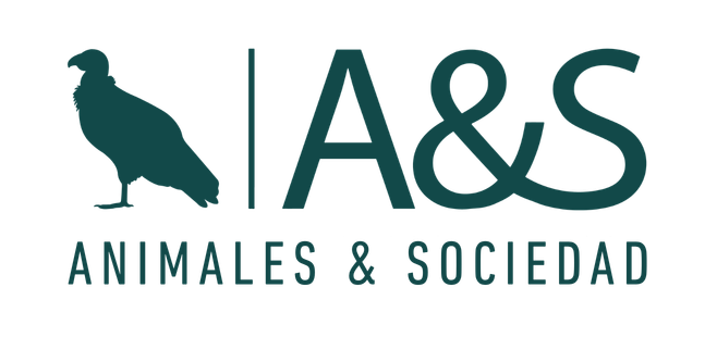 Logo A&S (2)