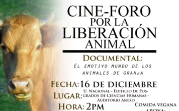 Cineforo 12 2012
