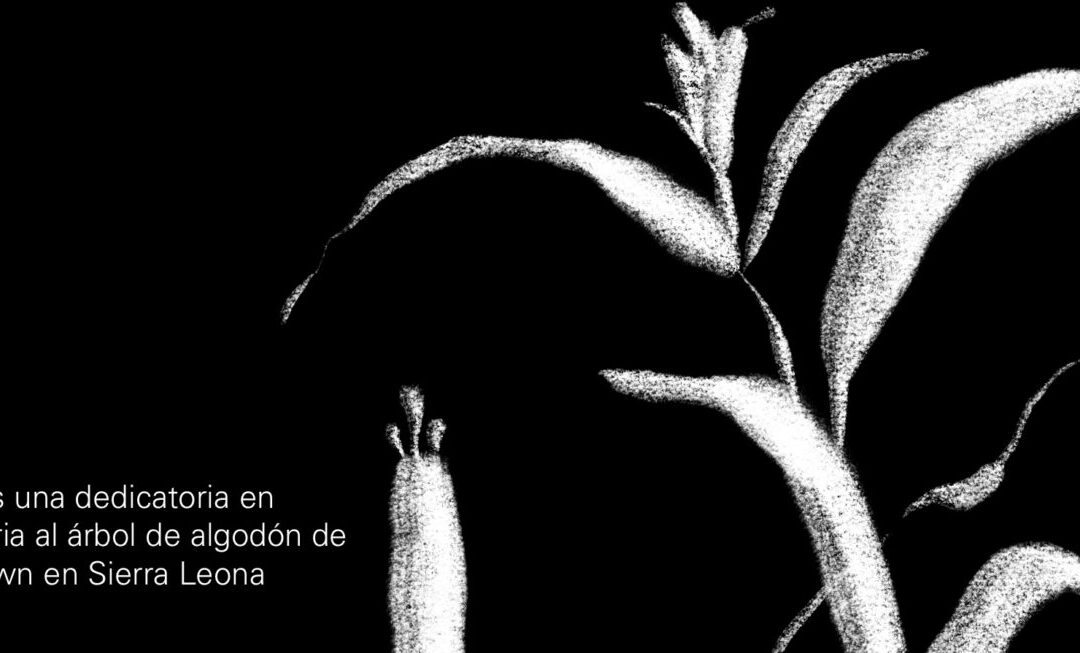 Arropar los territorios sintiendo y accionando la memoria antiespecista