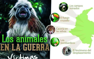 Animales y conflicto armado: Del olvido institucional a la paz interespecie en Colombia